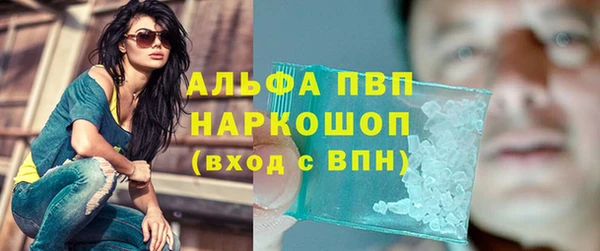 ПСИЛОЦИБИНОВЫЕ ГРИБЫ Осташков