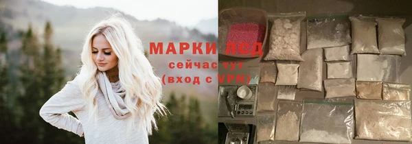 ПСИЛОЦИБИНОВЫЕ ГРИБЫ Осташков