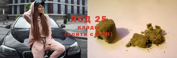 apvp Осинники