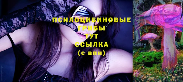 ПСИЛОЦИБИНОВЫЕ ГРИБЫ Осташков