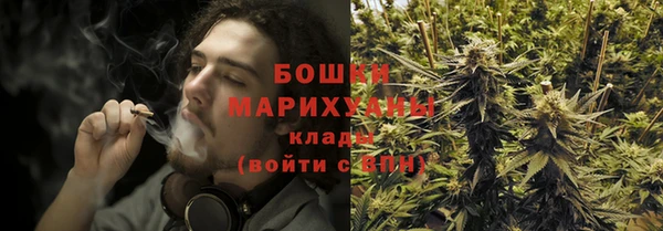 ПСИЛОЦИБИНОВЫЕ ГРИБЫ Осташков