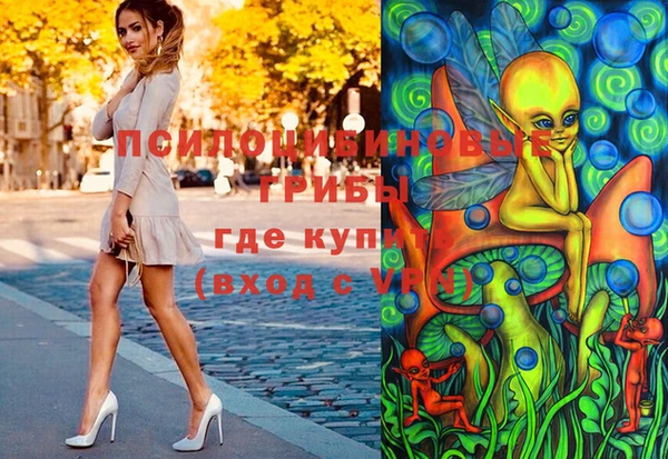 ПСИЛОЦИБИНОВЫЕ ГРИБЫ Осташков