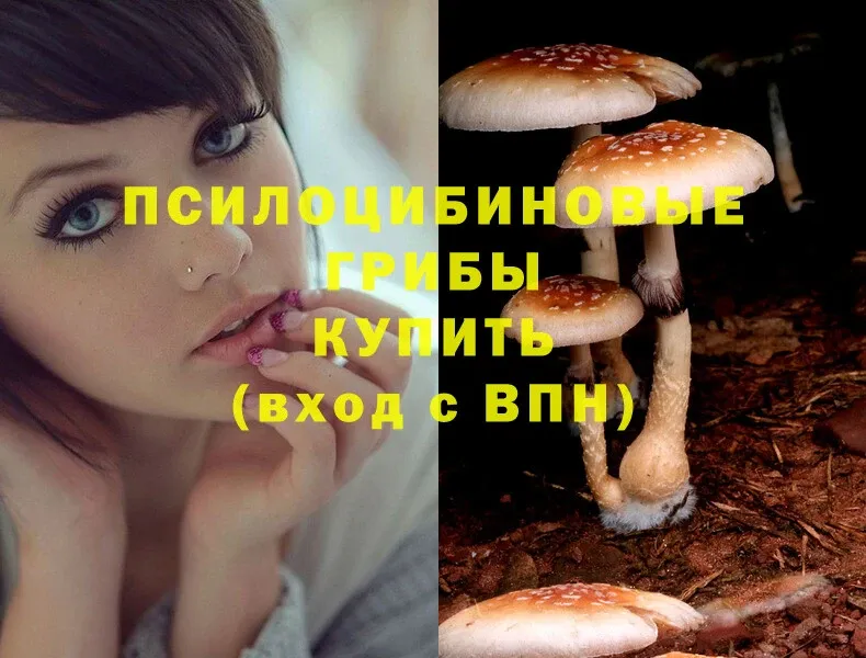 Галлюциногенные грибы MAGIC MUSHROOMS  купить   Алагир 