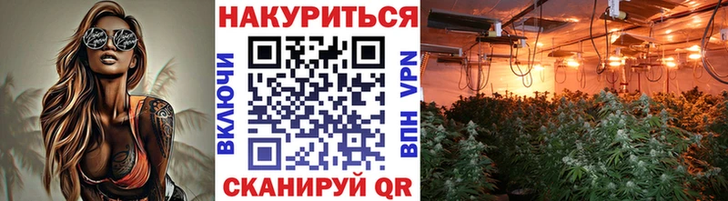 Каннабис SATIVA & INDICA  Алагир 